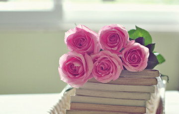 Картинка цветы розы розовый букет книги