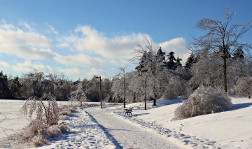 Картинка природа зима скамейка аллея снег парк фонарь