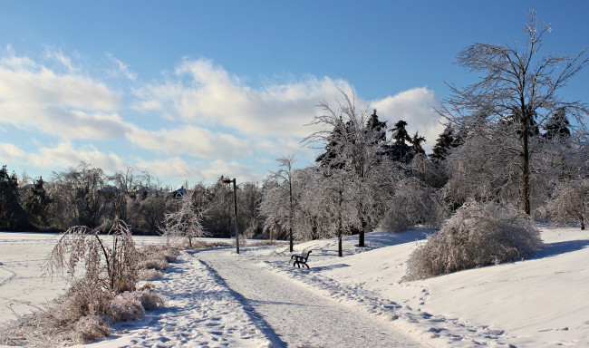 Обои картинки фото природа, зима, скамейка, аллея, снег, парк, фонарь
