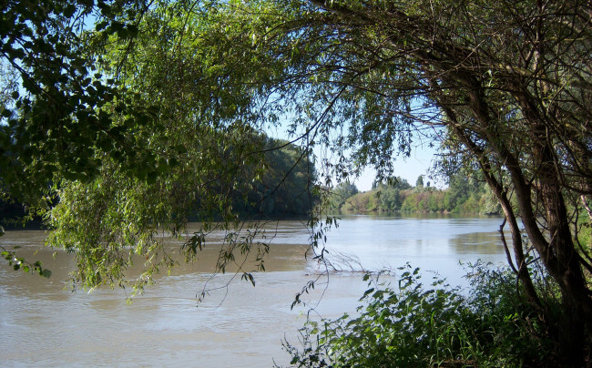 Обои картинки фото природа, реки, озера, река, ветви, листья
