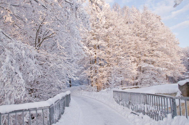 Обои картинки фото природа, зима, мост, снег, деревья