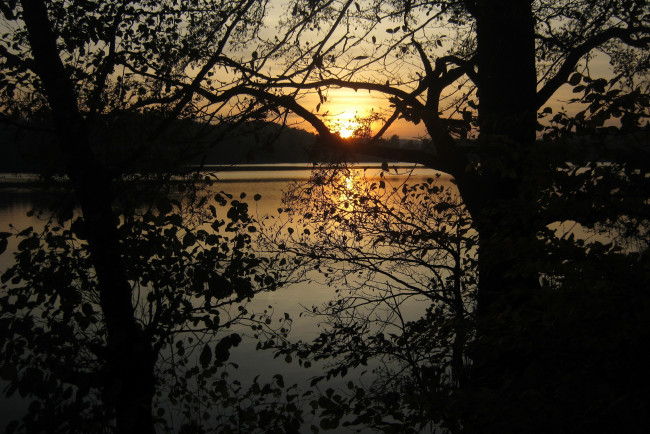 Обои картинки фото озеро marchowo польша, природа, восходы, закаты, деревья, закат, вечер, польша, озеро