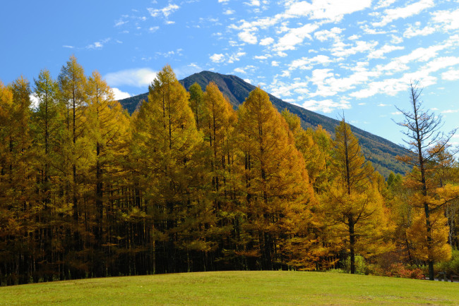 Обои картинки фото природа, лес, горы, осень
