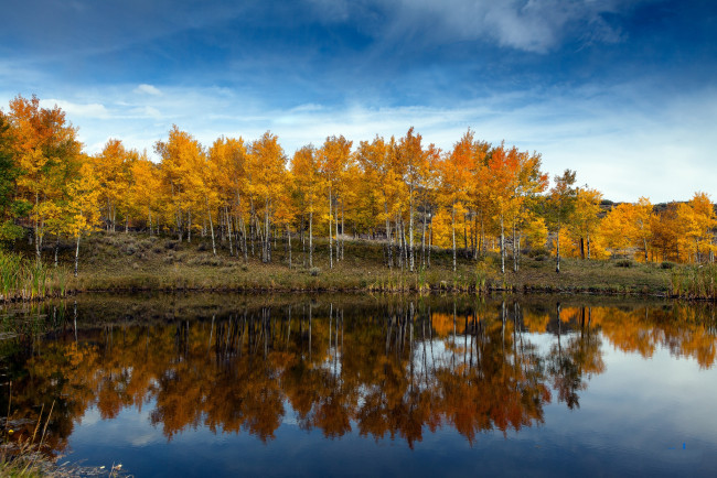Обои картинки фото природа, реки, озера, отражение, лес, река, осень
