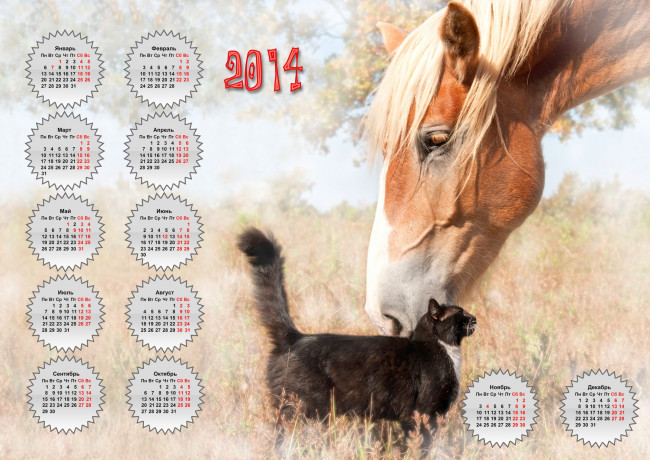 Обои картинки фото календари, животные, конь, кошка