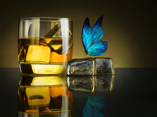 обоя butterfly drink, еда, напитки, бабочка, виски, лед, бокал