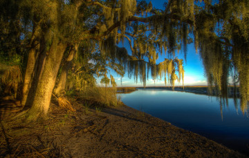 Картинка природа реки озера пейзаж утро река дерево ветки