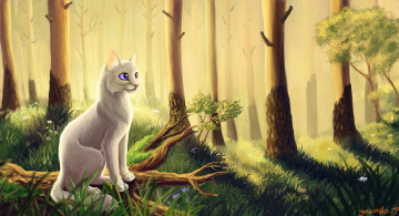 Картинка рисованное животные +коты фон взгляд кот