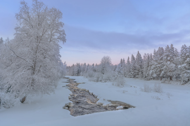 Обои картинки фото природа, зима, река, лес, финляндия, деревья, снег