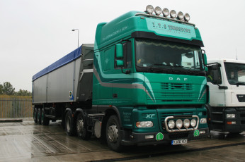 Картинка daf автомобили седельные тягачи шасси автобусы нидерланды trucks nv