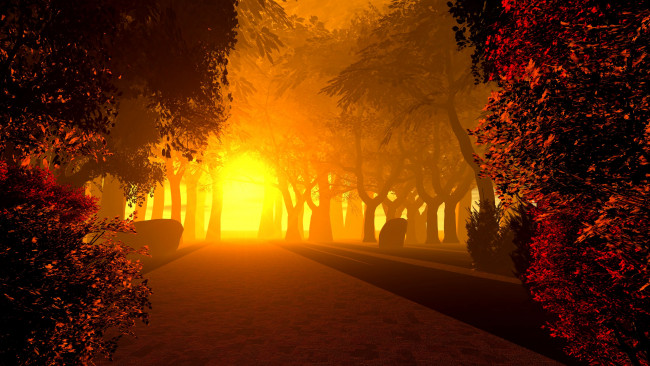 Обои картинки фото 3д графика, природа , nature, ночь, деревья, свет