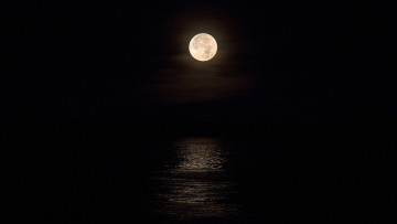 Картинка луна природа восходы закаты ночь лунная дорожка