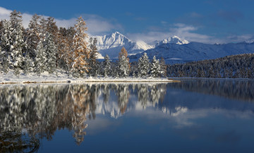 Картинка природа реки озера фотограф галина хвостенко алтай озеро горы деревья зима