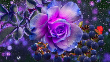 Картинка цветы розы настроение осени