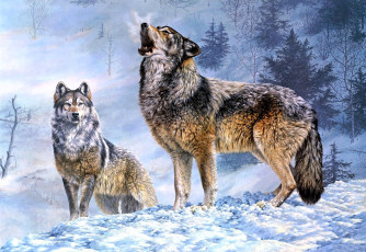 обоя рисованное, jorge j mayol, волки, вой, снег, зима