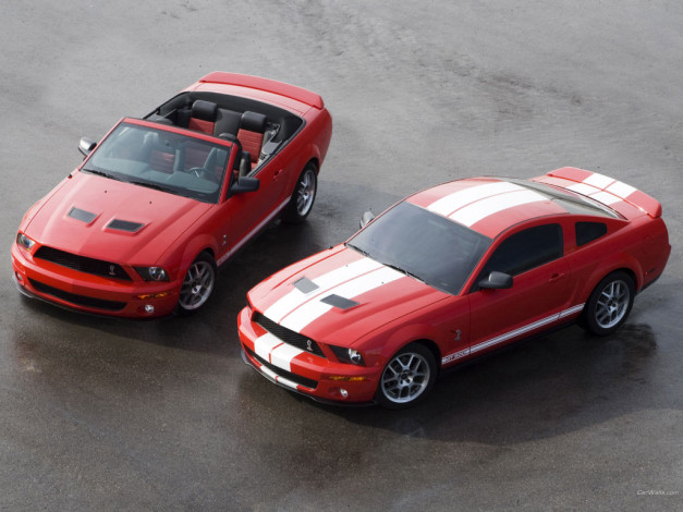 Обои картинки фото ford, shalby, gt, 500, автомобили