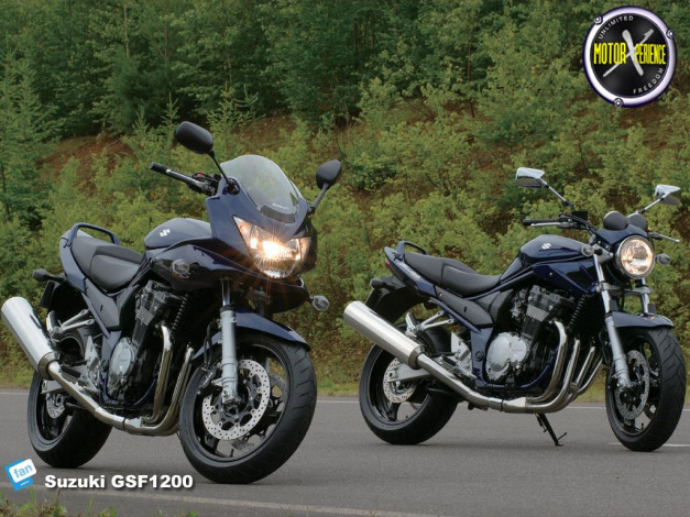 Обои картинки фото suzuki, gsf, 1200, мотоциклы