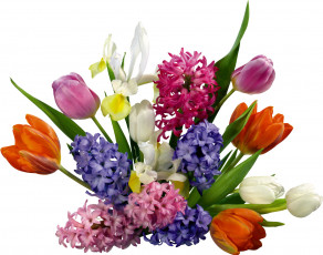 Картинка цветы букеты композиции тюльпаны гиацинты