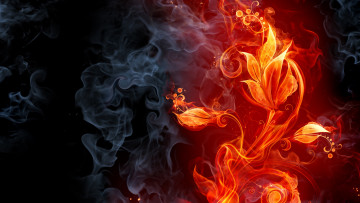 обоя векторная графика, дым, огонь, цветок