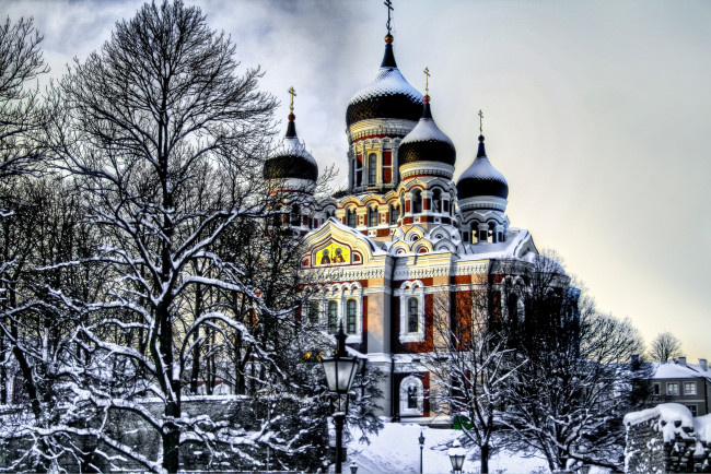 Обои картинки фото alexander nevsky cathedral,  tallinn,  estonia, города, таллин , эстония, купола, деревья, tallinn, зима, alexander, nevsky, cathedral, таллин, estonia, александро-невский, собор