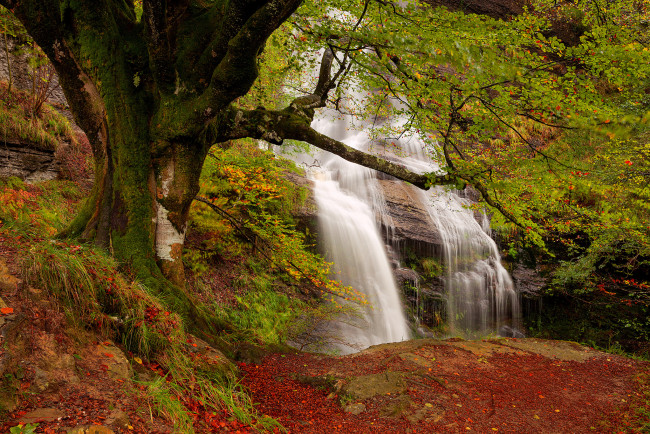 Обои картинки фото uguna waterfall,  gorbea natural park,  bizkaia,  spain, природа, водопады, uguna, waterfall, водопад, spain, дерево, gorbea, natural, park, испания, природный, парк, горбеа, бискайя, bizkaia