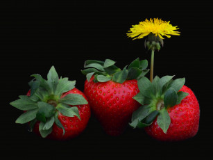 Картинка еда клубника +земляника цветок ягоды