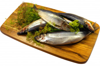 Картинка еда рыба +морепродукты +суши +роллы укроп селедка
