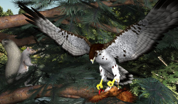 Картинка 3д+графика животные+ animals ветки белка орел