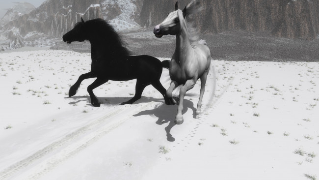 Обои картинки фото 3д графика, животные , animals, бег, лошади, снег