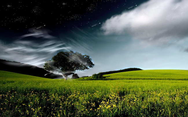 Обои картинки фото разное, компьютерный дизайн, луг, трава, дерево, облака, небо