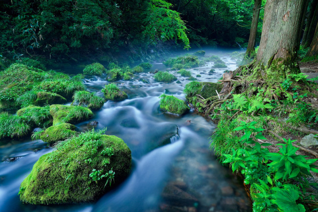 Обои картинки фото природа, реки, озера, лес, трава, поток, деревья, камни, река