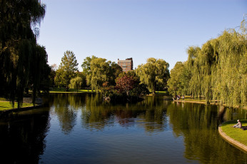 Картинка природа парк деревья озеро