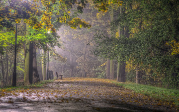 Картинка природа парк скамейка листопад аллея осень