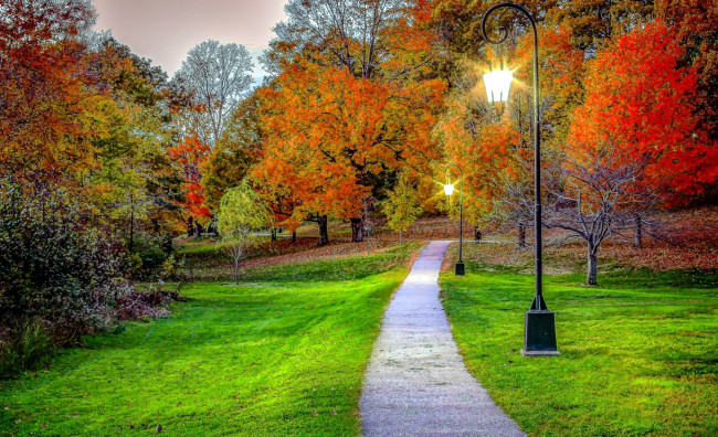 Обои картинки фото природа, парк, осень, аллея, фонари