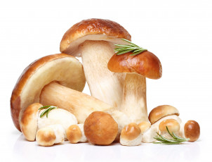 Картинка еда грибы +грибные+блюда розмарин белые боровики