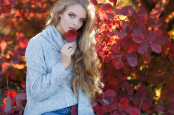 Картинка девушки -+блондинки +светловолосые листья осень блондинка свитер