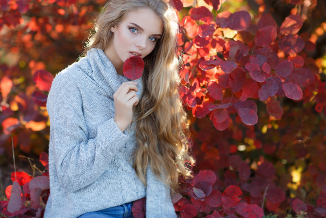 Обои картинки фото девушки, - блондинки,  светловолосые, листья, осень, блондинка, свитер