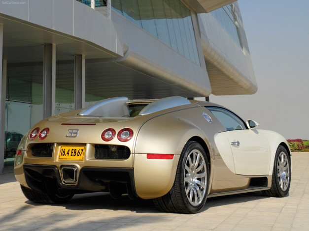 Обои картинки фото bugatti, veyron, 2009, автомобили