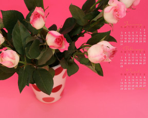 обоя календари, цветы