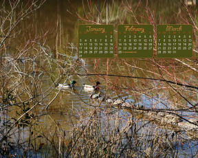 обоя календари, природа