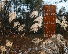 обоя календари, природа