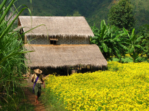 обоя автор, anthony, hewitt, разное, сооружения, постройки, lakeside, farm, inle, lake