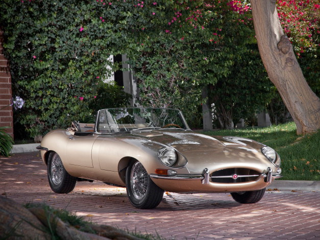 Обои картинки фото автомобили, jaguar, e-type