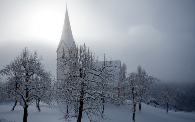 Обои картинки фото города, католические, соборы, костелы, аббатства, храм, зима, деревья, туман