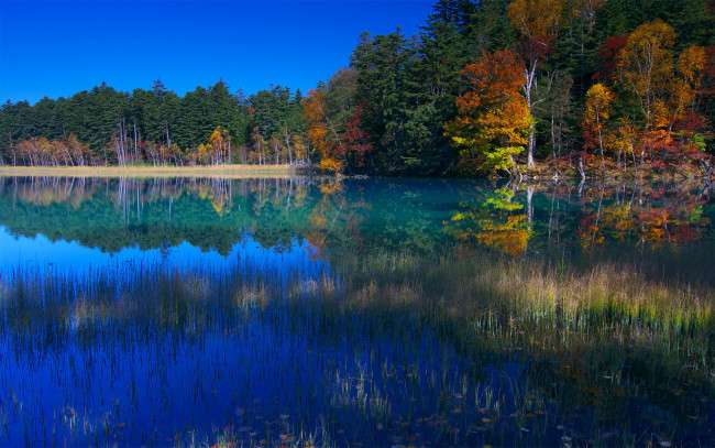 Обои картинки фото природа, реки, озера, лес, озеро, осень, япония