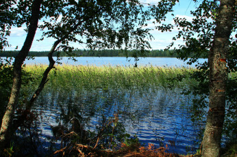 Картинка озеро+желанное+карелия природа реки озера озеро желанное карелия камыши