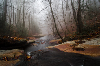 Картинка природа реки озера осень лес река ручей поток туман