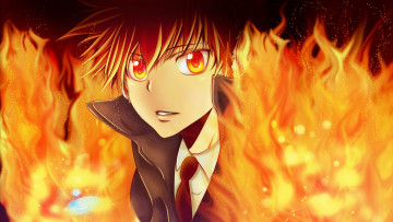 Картинка аниме katekyo+hitman+reborn огонь взгляд тцуна 10 бос ванголла парень реборн галстук лицо