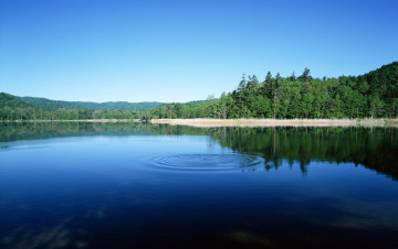 Картинка природа реки озера озеро лес круги бульк