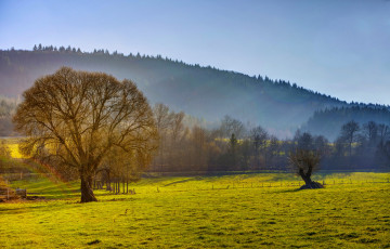 Картинка alf+ mosel ++германия природа луга германия пейзаж поля